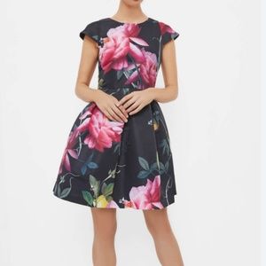 Ted Baker Allisia Citrus Bloom cap sleeve floral dress black pink--like new!